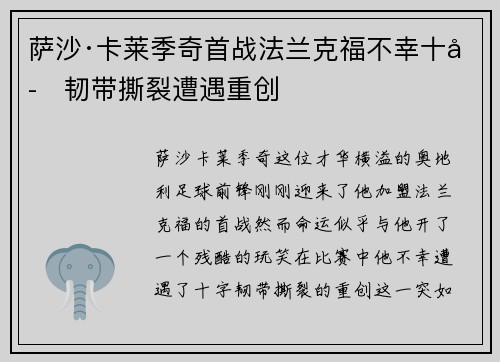 萨沙·卡莱季奇首战法兰克福不幸十字韧带撕裂遭遇重创